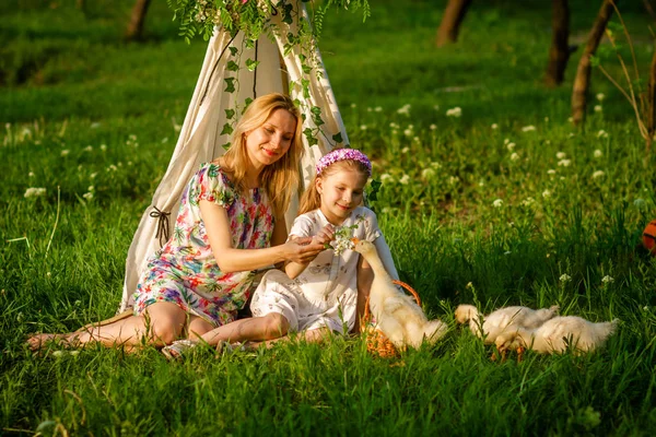 妈妈和女儿坐在草地上的公园喂鹅 — 图库照片