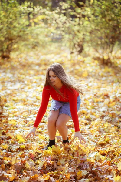 幸せな女の子が歩いて屋外の公園で紅葉をスローします。. — ストック写真
