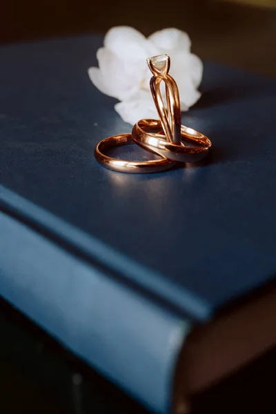 2つの結婚指輪と婚約指輪を閉じた本にバックグラウンドとして本 — ストック写真