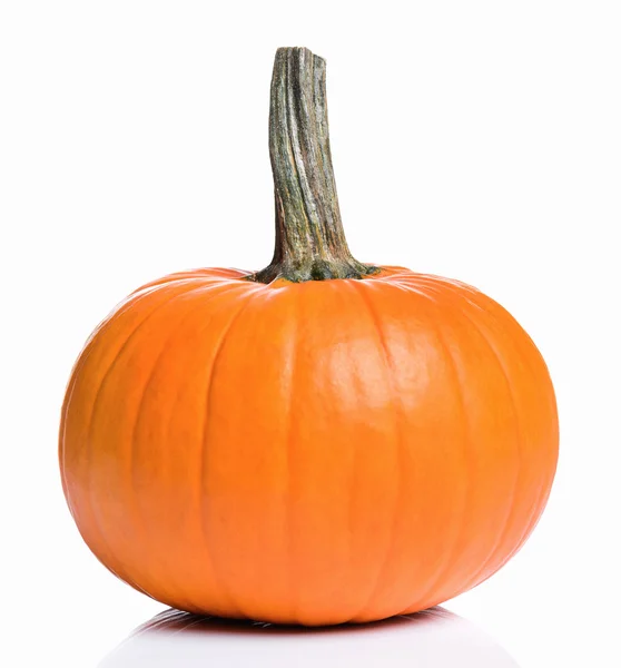 Fresh pumpkin for Halloween — Stock Photo, Image