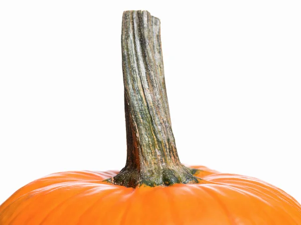 Färsk pumpa till Halloween — Stockfoto