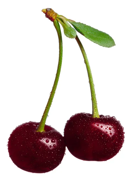 Dos cerezas dulces con gotas de agua —  Fotos de Stock