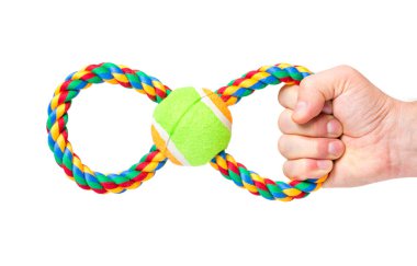 Hand with dog toy clipart