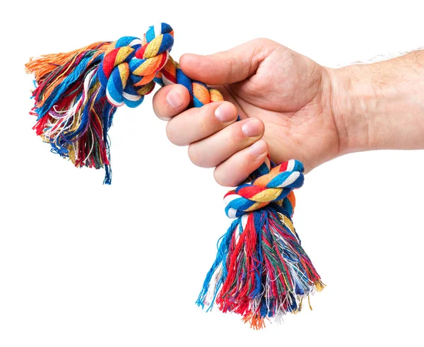 Hand with dog toy — Stock Photo, Image