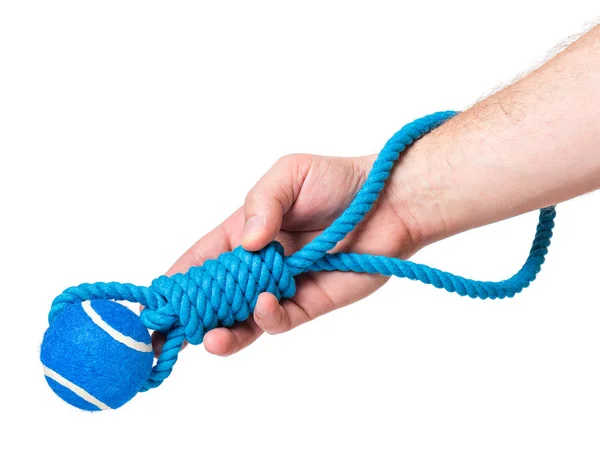 Hand with dog toy — Stock Photo, Image