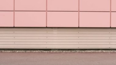 Mutlu aile alışveriş sepetleri ile