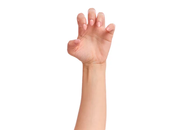 Weibliche Hand auf weiß — Stockfoto