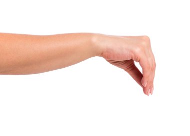 Beyaz arka planda izole edilmiş bir şey tutan bir kadın. Kopya alanı olan güzel bir kadın eli..