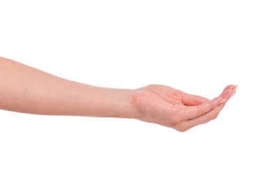 Kadın boş elle bir şey tutuyor. Avuç içi yukarıda, beyaz arka planda izole edilmiş. Kopya alanı olan güzel bir kadın eli..