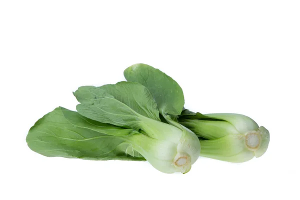 Pok choi geïsoleerd op witte achtergrond — Stockfoto