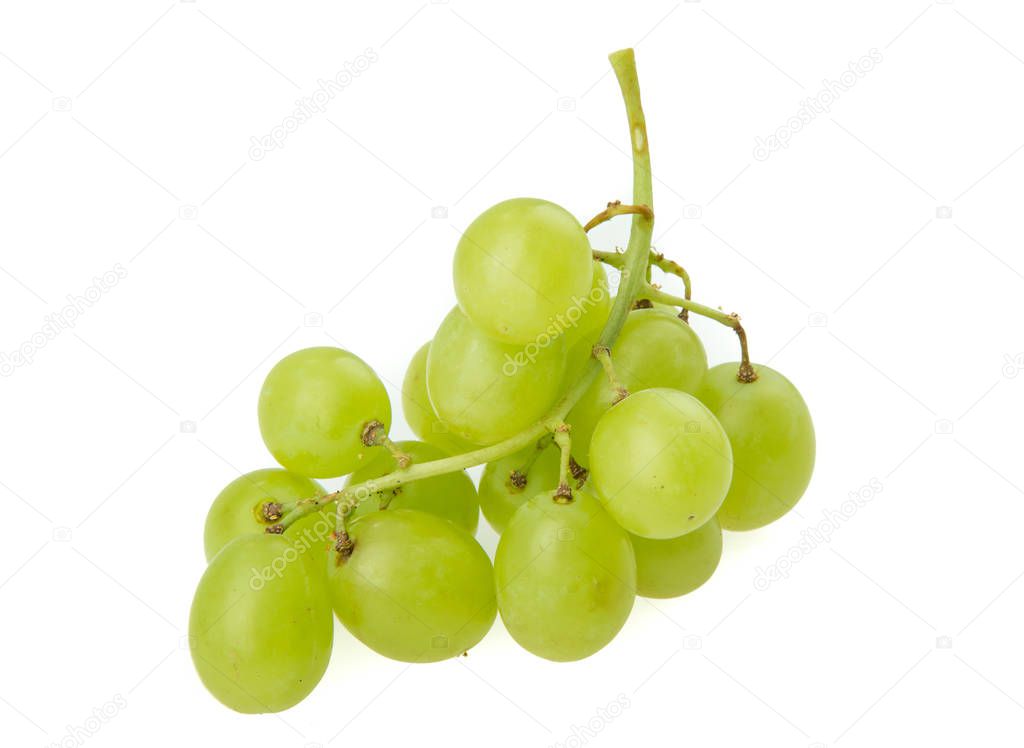 Green grape on white background