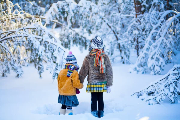 De kinderen in het bos van de winter. — Stockfoto