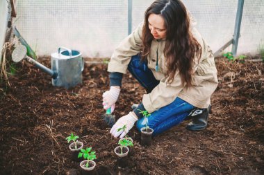 Genç bir kadın bir ağaç mı dikiyor.