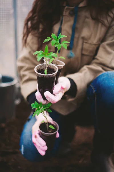 Uma Jovem Está Plantando Uma Árvore — Fotografia de Stock