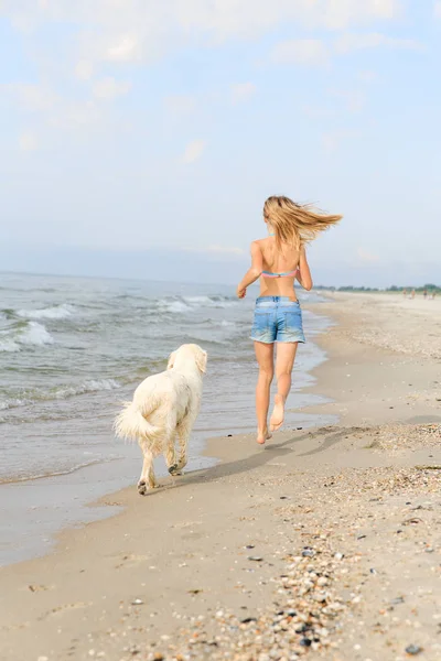 Onun golden retriever ile plaj kıyısında sabahın erken sırasında çalışan genç kız. — Stok fotoğraf