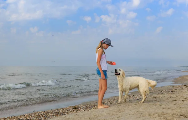 Onun golden retriever ile plaj kıyısında sabahın erken sırasında çalışan genç kız. — Stok fotoğraf