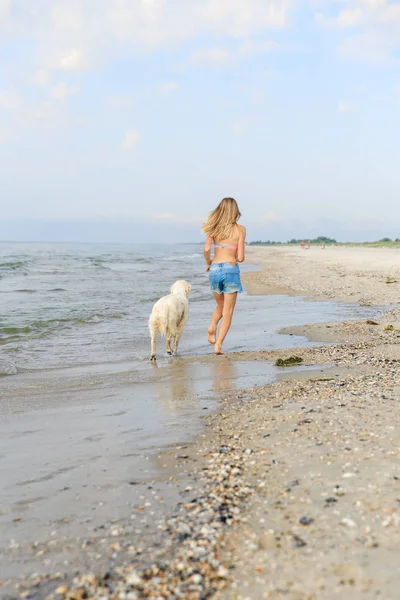 Onun golden retriever ile plaj kıyısında sabahın erken sırasında çalışan genç kız. — Stok fotoğraf