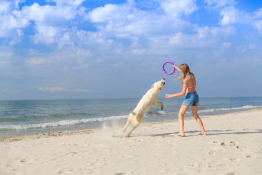 mutlu kız sahilde bir köpekle oynamayı