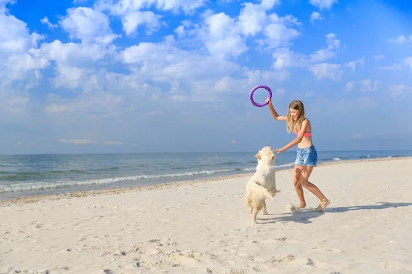 Щаслива дівчина грає з собакою на пляжі — стокове фото