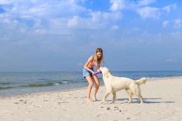 Mutlu kız sahilde bir köpekle oynamayı — Stok fotoğraf