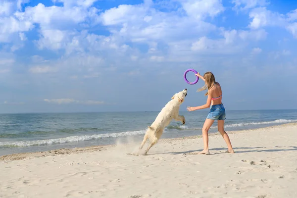 happy girl playing with a dog on the beach