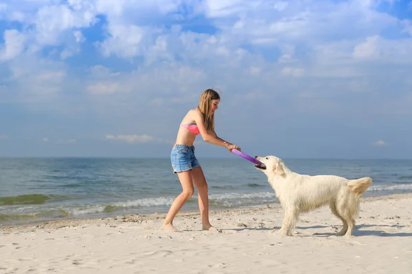 Mutlu kız sahilde bir köpekle oynamayı — Stok fotoğraf