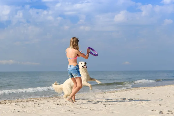 Mutlu kız sahilde bir köpekle oynamayı — Stok fotoğraf