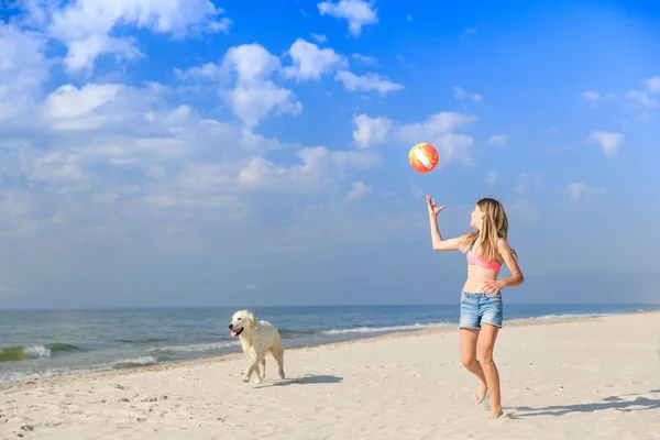 happy girl playing with a dog on the beach