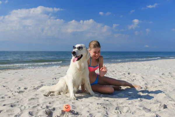 Mutlu kız sahilde bir köpekle oynamayı — Stok fotoğraf