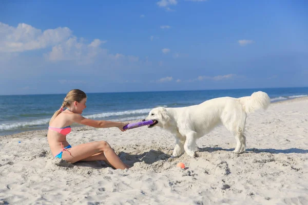 Gelukkig meisje spelen met een hond op het strand — Stockfoto