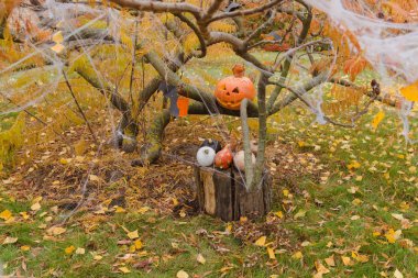 Kabaklar ve Cadılar Bayramı için diğer dekor öğeleri