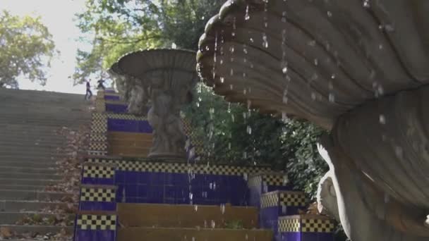 Спрей фонтан в міському парку в літній день — стокове відео