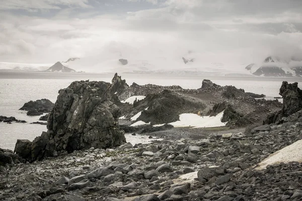 The majestic and harsh nature of Antarctica. — 스톡 사진