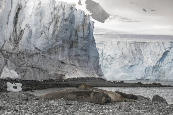 Naturaleza y paisajes de la Antártida Cambios climáticos y atmosféricos . — Foto de Stock