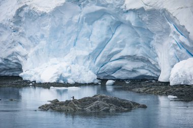 Melting glaciers. global warming. Antarctica