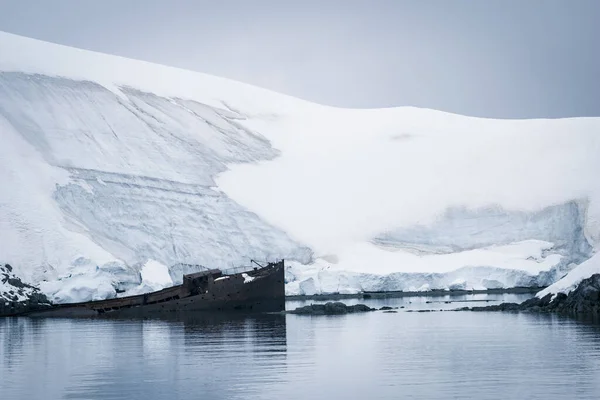 Az Antarktisz rozsdás, elsüllyedt bálnavadász hajója — Stock Fotó