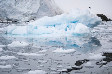 Antarktika yarımadasında eriyen buz parçaları, Antarktika 'nın büyüleyici buzlu manzarası