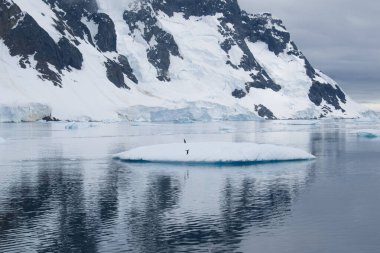 Su altında manzaralı okyanusta güzel buzdağı. Küresel ısınma kavramı. Eriyen buzul