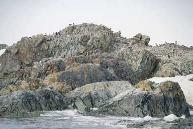 Antarktika 'nın doğa ve manzaraları. İklim ve atmosfer değişiklikleri..