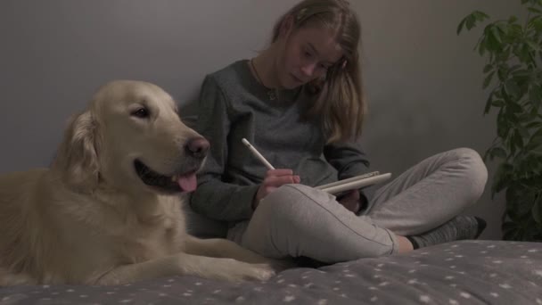 Beautiful Teenager Girl Relax Sitting Bed Her Dog Using Graphic — Stock Video