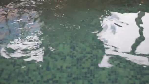 Töm inomhuspool med facklor på vattnet — Stockvideo