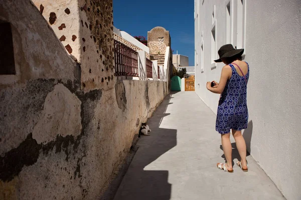 Bir kadın sokakta bir kedi Fotoğraflar yapmak.