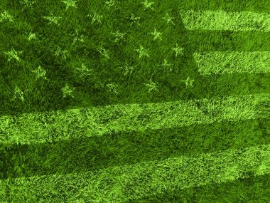 Amerikan bayrağı çimen