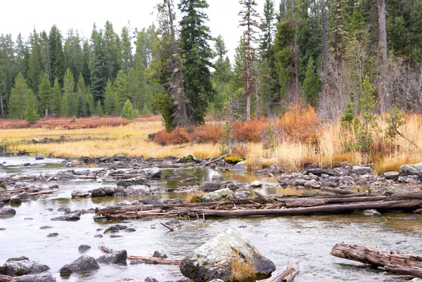 River rocks in stream bed