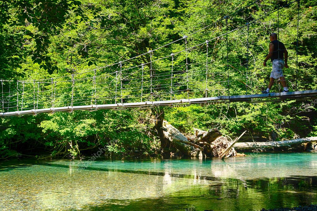 Hiker Crosses The Suspension Bridge Leading To The Grove Of The Patriarchs Ohanapecosh Mount Rainier National Park Washington 163815112 Larastock