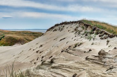Litvanya dunes panoramik manzaralar