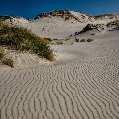Slowinski Ulusal Parkı, hareket eden kum tepeleri, Pomorskie bölgesi.