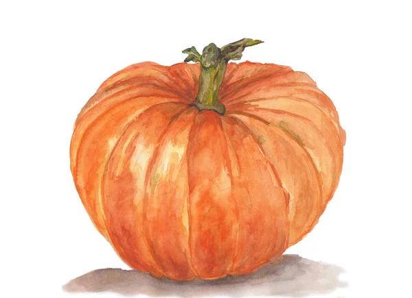 Yellow pumpkin painted with watercolors on white background — ストック写真