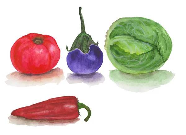 Rajče, lilek, zelí, červená paprika. Akvarely na bílém pozadí — Stock fotografie