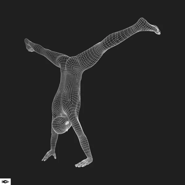 Gimnasta. Modelo 3D del Hombre. Modelo de cuerpo humano. Gimnasia Activitie — Vector de stock